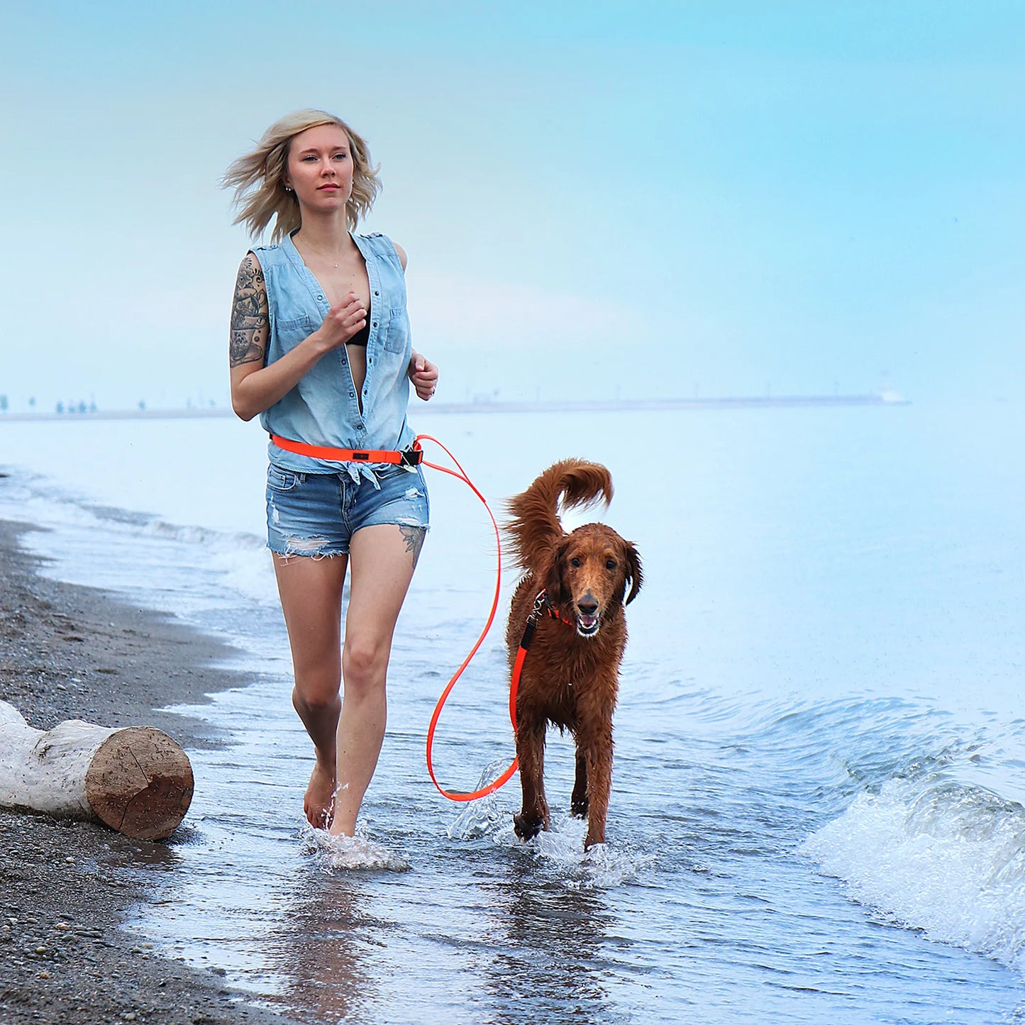Boss Regular Leash
