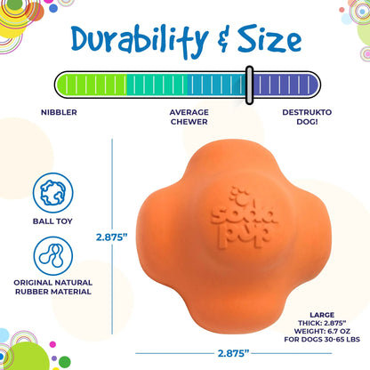 Crazy Bounce Ultra Durable Rubber Chew & Retrieving Toy